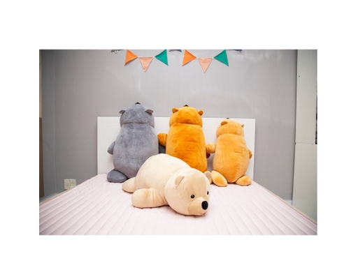 Gối Ôm Hình Gấu Polar M Tân Quang Lập ảnh 0