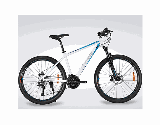 Xe Đạp Địa Hình 26 Inch Aso Maruishi ảnh 2