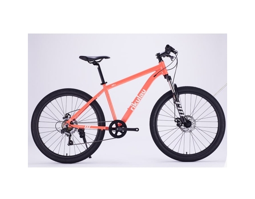 Xe Đạp Địa Hình Aso Lite 26 Inch (Note chọn màu) Rikulau ảnh 2
