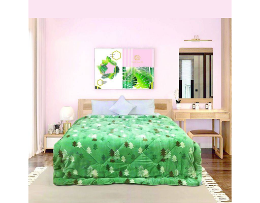 Chăn Tuyết Hàn Quốc 200x220cm Dreamland ảnh 7