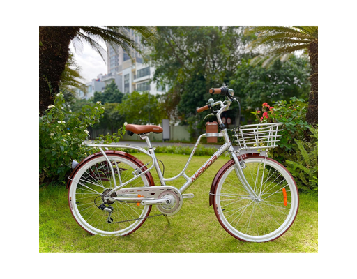 Xe Đạp Mini City Honey 24 Inch (Note chọn màu) Miamor ảnh 4