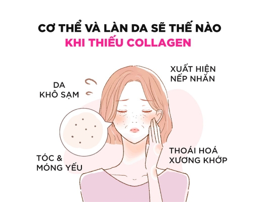 Thực Phẩm Bảo Vệ Sức Khỏe Viên Uống Bổ Sung Collagen Gói 30 Ngày 180 Viên DHC ảnh 2