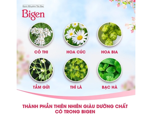 Kem Nhuộm Tóc Speedy Color Cream 6 - Màu Nâu Đen 80ml Bigen ảnh 3