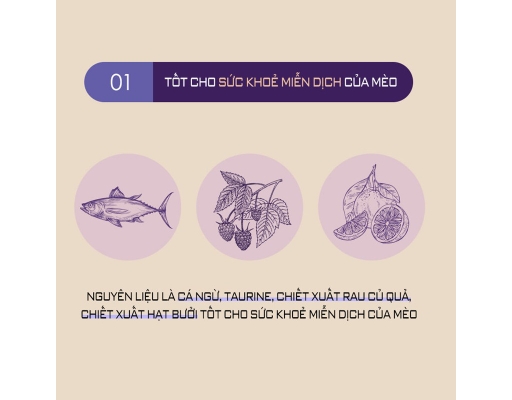 Thức Ăn Dạng Hạt Cho Mèo Mọi Lứa Tuổi 5kg Nutriplan ảnh 6