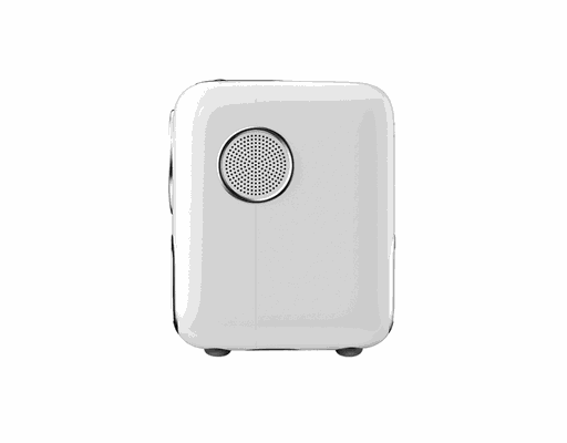 Máy Chiếu T2R Max Wanbo ảnh 2