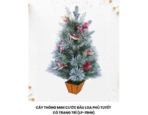 Cây Thông Mini 60cm 19HN Chaang Chiia ảnh 0