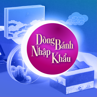Bánh trung thu nhập khẩu