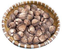 AVN - Sò Huyết Sống