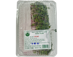 Hoàng Tố Anh - Mầm Củ Cải Đỏ
