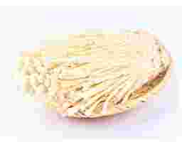 Song Khang - Nấm Kim Châm Hàn Quốc 150g