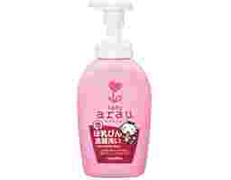 Arau - Nước Rửa Bình Sữa 500ml