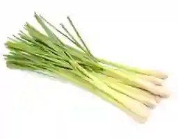 AVN - Sả Cây