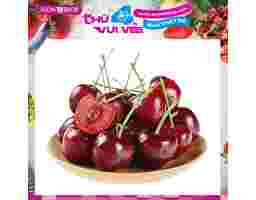 Cherry Mỹ AVN