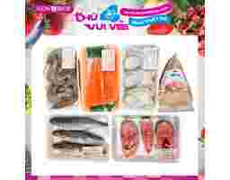 Combo Tiết Kiệm 1 (Hồi Nục Basa Tôm Bạch Tuộc Chả Daily) AVN