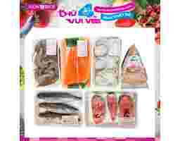 Combo Tiết Kiệm 1 (Hồi Nục Basa Tôm Bạch Tuộc Chả Daily) AVN