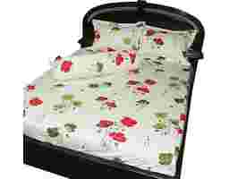 Thắng Lợi - Bộ Drap Gối 4 Món 1.8 x 2m