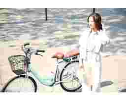 Wiibike - Xe Trợ Lực Điện Mira 36V 24 Inch Màu Be