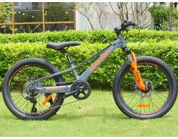 Miamor - Xe Đạp Trẻ Em Abrams 20 Inch