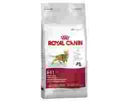 Royal Canin - Thức Ăn Cho Mèo Fit32
