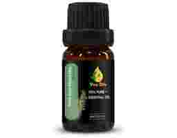 Vina Oils - Tinh Dầu Tràm Trà