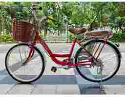 Thống Nhất - Xe Đạp Mini Thành Phố 24 Inch Y23 Màu Đỏ