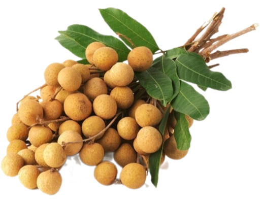 Nhãn Xuồng Loại 1 1kg AVN