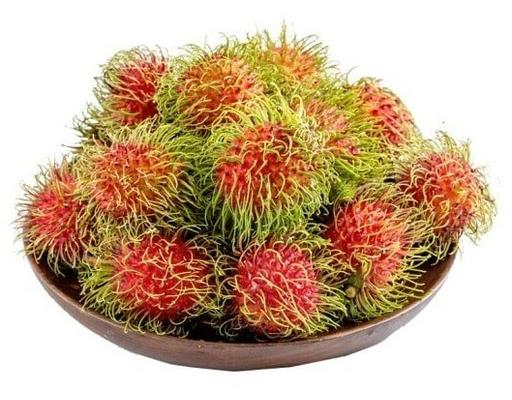 Chôm Chôm Giống Thái 1kg AVN
