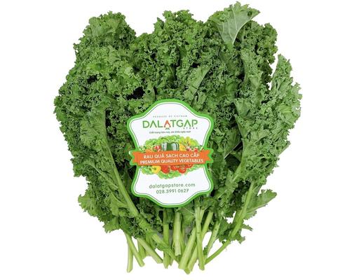 Xà Lách Kale 200g Dalatgap