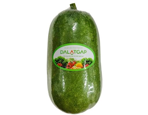 Bí Đao Mini Dalatgap