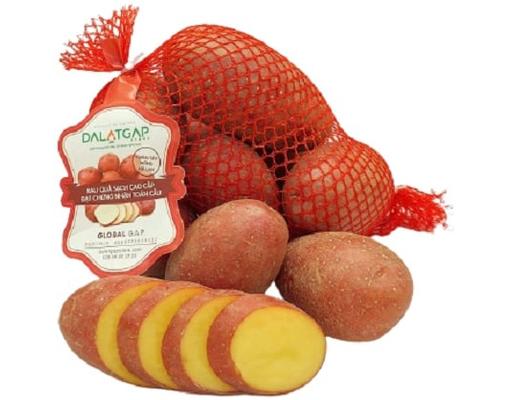 Khoai Tây Hồng Giống Hà Lan 500g Dalatgap