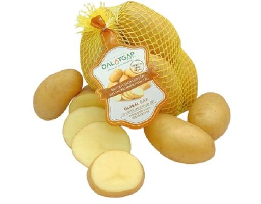 Khoai Tây Vàng Giống Hà Lan 500g Dalatgap