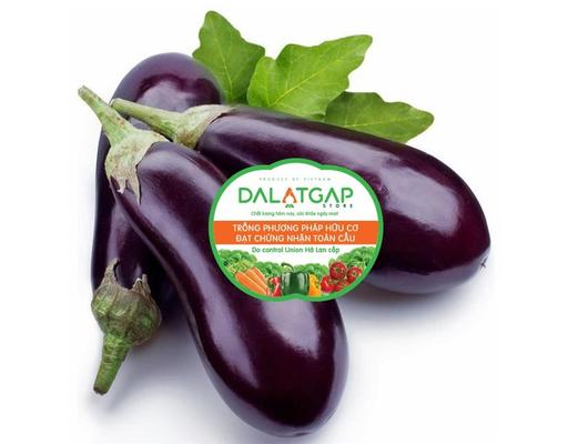 Cà Tím Giống Nhật 300g Dalatgap