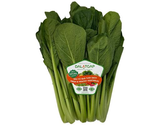 Cải Ngọt 300g Dalatgap