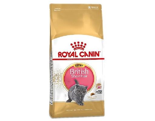 Thức Ăn Hạt Cho Mèo Lông Ngắn British Shorthair Kitten RC251960 400g Royal Canin
