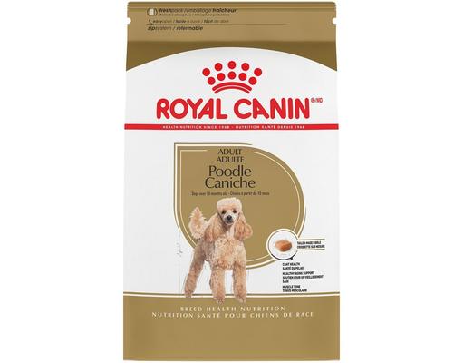 Thức Ăn Hạt Cho Chó Poodle Dưới 10 Tháng Tuổi Poodle Puppy RC190400 500g Royal Canin