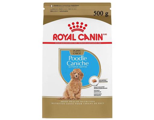 Thức Ăn Hạt Cho Chó Poodle Trên 10 Tháng Tuổi Poodle Adult RC190400 500g Royal Canin