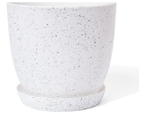 Chậu Trắng Vân Đá Size 22cm Monrovia