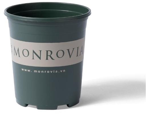 Chậu Trồng Cây 0.5 Gallon Monrovia