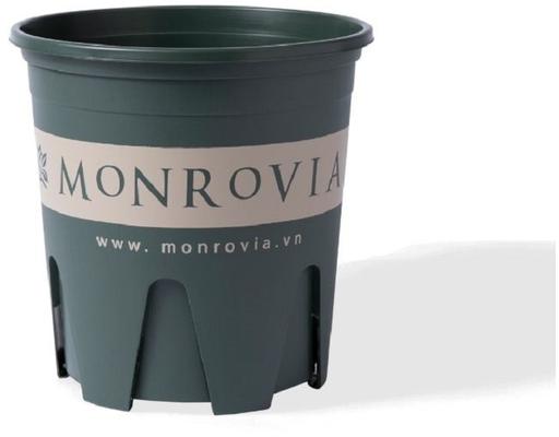 Chậu Trồng Cây 2 Gallon Monrovia