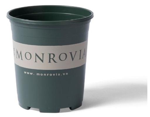 Chậu Trồng Cây 3 Gallon Monrovia