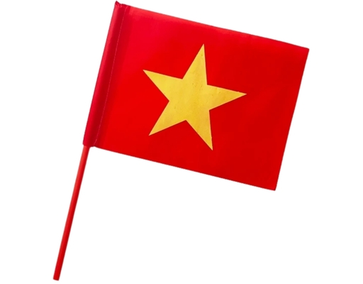 Cờ Tổ Quốc Nhỏ Cầm Tay In 2 Mặt Sportslink