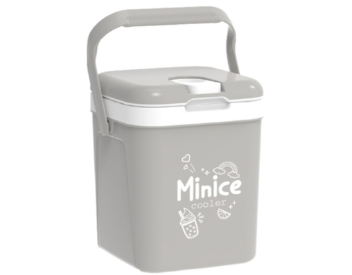 Thùng Đá Minice Dung Tích 2.1L Duy Tân