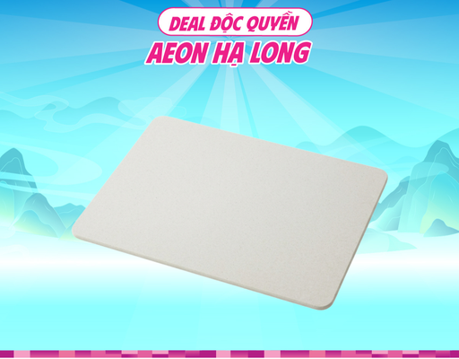 Thảm Đá Chùi Chân Tảo Biển SS26 Màu Xám Size 40x55cm HÓME CÓORDY