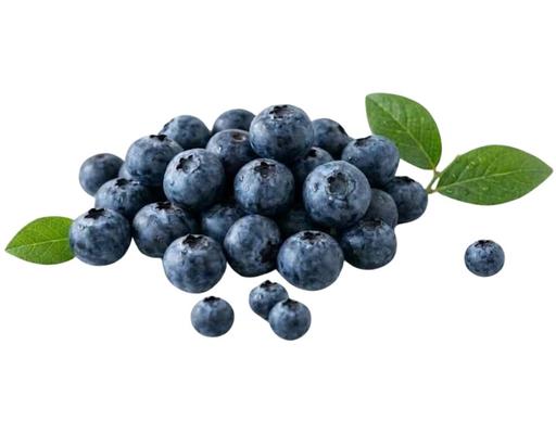 Việt Quất Úc 125g Tony Fruit
