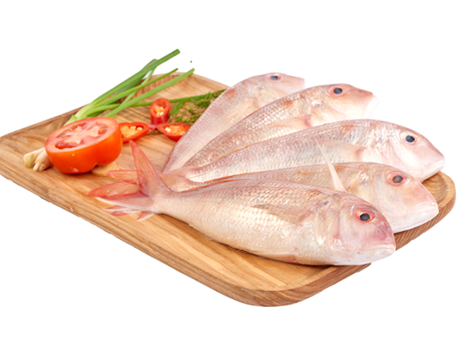 Cá Đổng 300g AVN