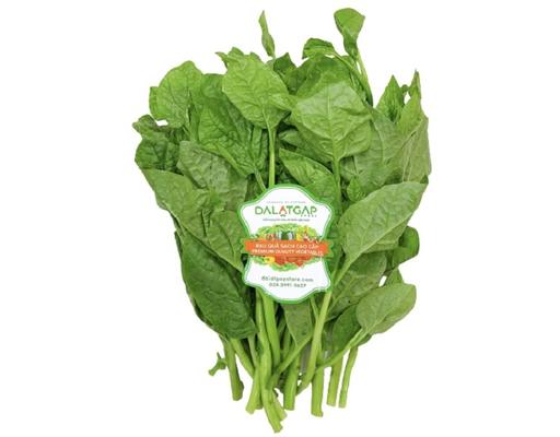 Mồng Tơi Baby 300g Dalatgap