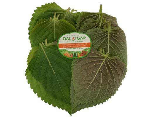Lá Mè 50g Dalatgap