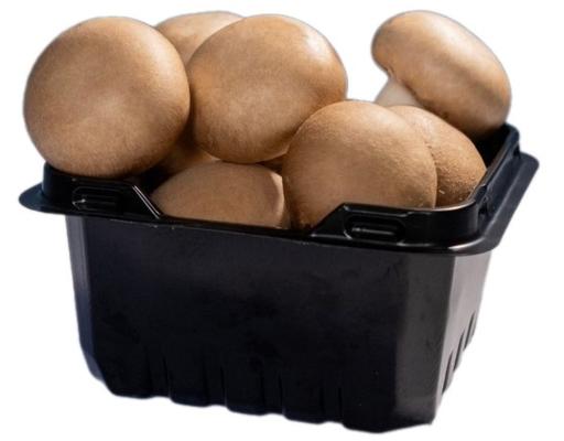 Nấm Mỡ Nâu 150g Yoshimoto