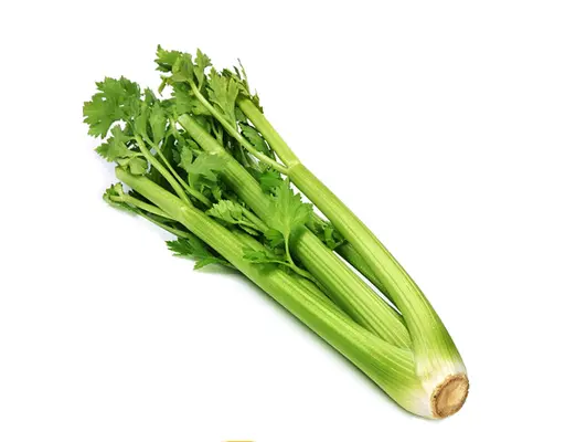 Cần Tây Đà Lạt 500g AVN