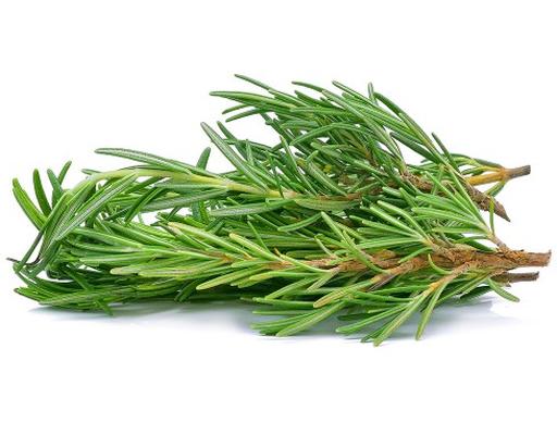Hương Thảo 20g DHF